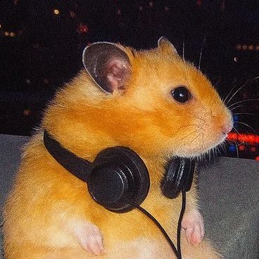 Gy0nfn's profile picture