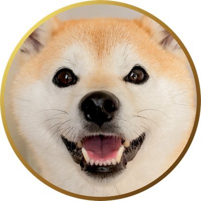 柴犬もも's profile picture