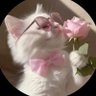 سبحان الله وبحمده's profile picture