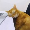 Фото профиля 10÷ programmer 👾