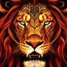 Arda Solmaz profil fotoğrafı