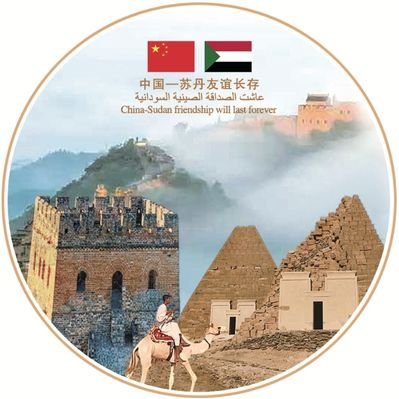 CHNembinSudan's profile picture