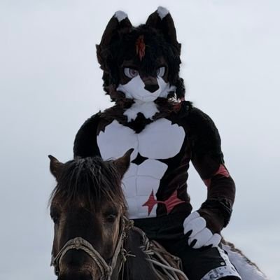 Spring泉➡️FurstClass's profile picture