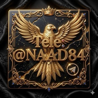 MedjaheM23957's profile picture