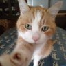 fwnt🍮 profil fotoğrafı