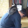 tama's profile picture