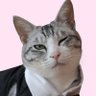てつのひ🐈🐈⬛🐾 profil fotoğrafı