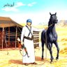 الأمير أبوعامر اليماني(العدناني) 的头像