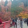 Фото профиля すずき太郎