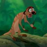 Фото профиля Timon