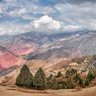 dinamika_ profil fotoğrafı