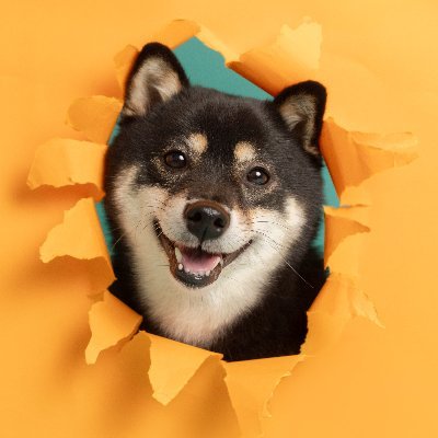 夜といすず。's profile picture