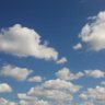 野菜の物販 ボートで勝って北海道へ's profile picture
