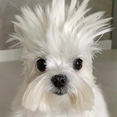 고민서's profile picture