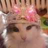 TT's profile picture