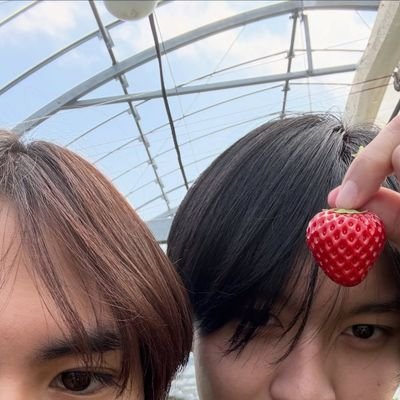 Kristine's profile picture