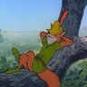Фото профиля robinhoodthoughts