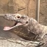 PaleRider's profile picture