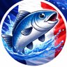 PoissonFrancais🇫🇷🐟 profil fotoğrafı