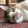 Фото профиля Leleti_xyz