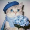 有趣的灵魂's profile picture