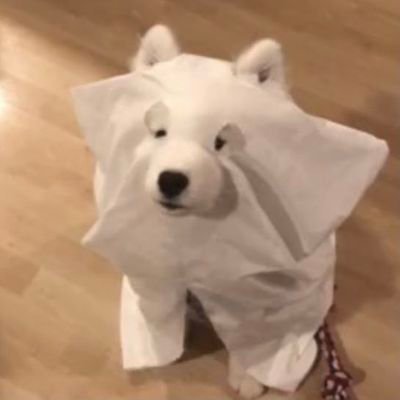 Little's profile picture