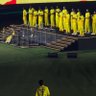 Cricket Admirer🦁🏏's profile picture