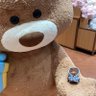 Nana❤️🍀🦁🐻💛 的头像