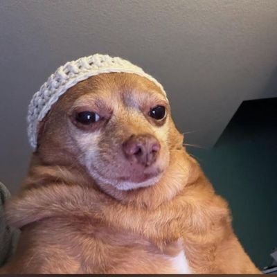 Kanashi's profile picture
