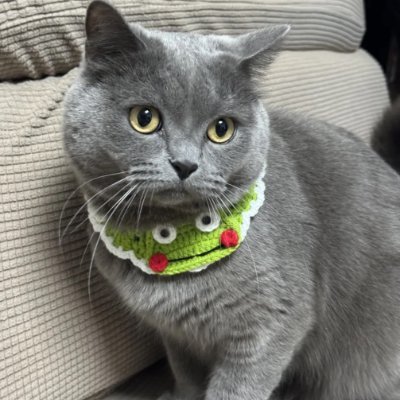 JewellVrba81752's profile picture