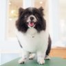 ちゃちち's profile picture