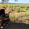 Amitesh Davaram profil fotoğrafı