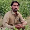 Advocate Baloch 的头像