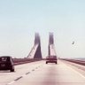 Skyway Groyper 的头像
