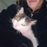 Profilbild von minisavior