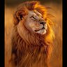 Фото профиля Helal W
