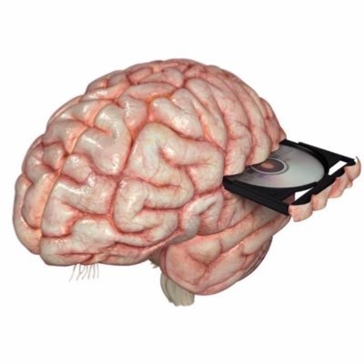Twzted_Synapse's profile picture