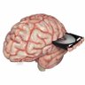 Twzted_Synapse profil fotoğrafı