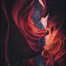 vortex's profile picture
