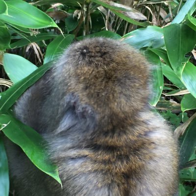 jouta559's profile picture