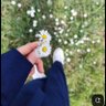 Narjis profil fotoğrafı