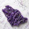 Фото профиля 🇸🇦💜 زهرة البنفسج
