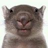 drê's profile picture