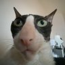 E.K profil fotoğrafı