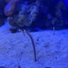 Фото профиля ふう