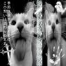Profilbild von 100papiers