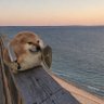 Cıhan's profile picture