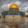 Фото профиля Ahmed #المسجد_الأقصى