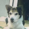 MASA's profile picture