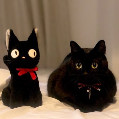 vvyku5h's profile picture